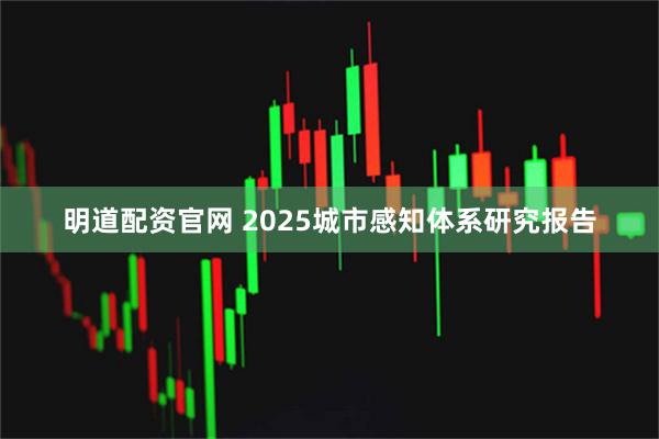 明道配资官网 2025城市感知体系研究报告