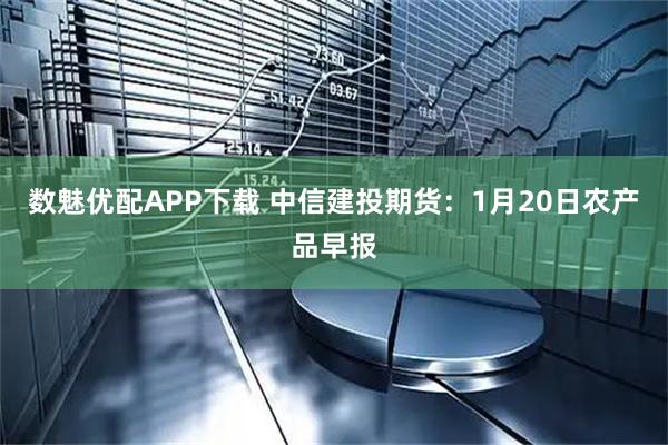 数魅优配APP下载 中信建投期货：1月20日农产品早报