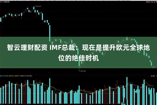 智云理财配资 IMF总裁：现在是提升欧元全球地位的绝佳时机