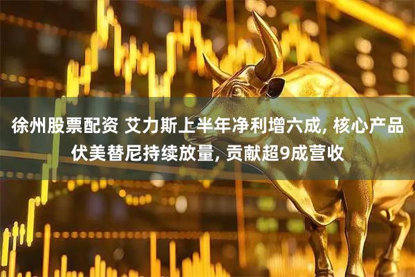 徐州股票配资 艾力斯上半年净利增六成, 核心产品伏美替尼持续放量, 贡献超9成营收
